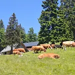 On Kobilica Off Grid Alpine Eco Retreat With Stunning Views Trail Access Only Hike&bike *