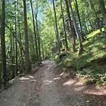 On Kobilica Off Grid Alpine Eco Retreat With Stunning Views Trail Access Only Hike&bike Holiday home *