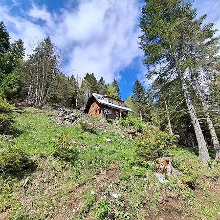 On Kobilica Off Grid Alpine Eco Retreat With Stunning Views Trail Access Only Hike&bike Trzic