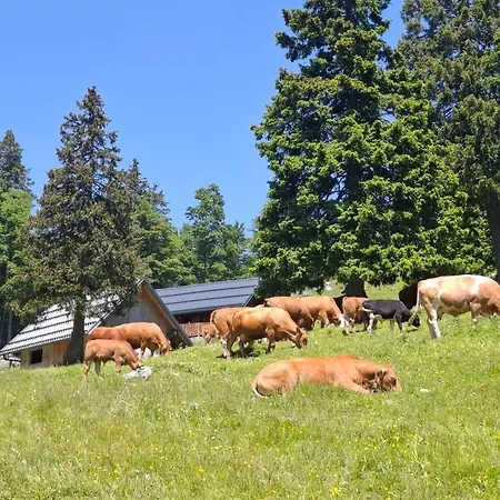 On Kobilica Off Grid Alpine Eco Retreat With Stunning Views Trail Access Only Hike&bike *