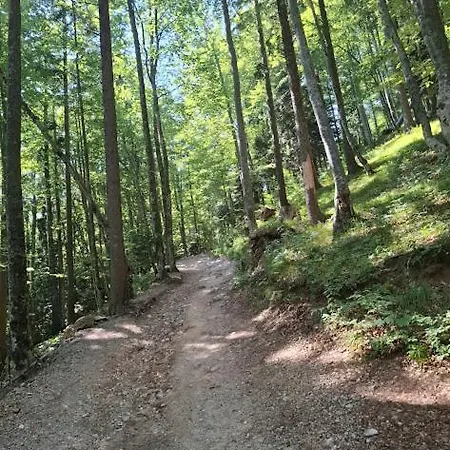 On Kobilica Off Grid Alpine Eco Retreat With Stunning Views Trail Access Only Hike&bike Holiday home *