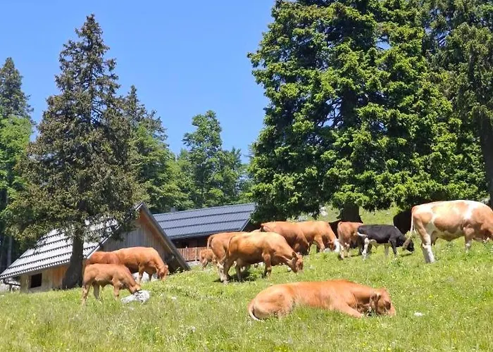 On Kobilica Off Grid Alpine Eco Retreat With Stunning Views Trail Access Only Hike&bike *