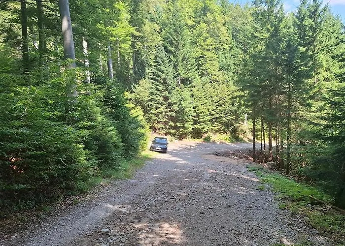 On Kobilica Off Grid Alpine Eco Retreat With Stunning Views Trail Access Only Hike&bike * Trzic